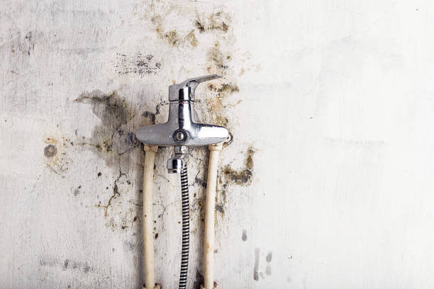 Best Post-Flood Mold Remediation in Crestwood, KY