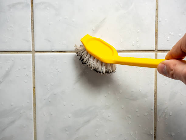 Best Health and Safety Mold Remediation in Crestwood, KY