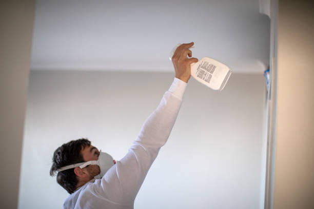 Best Kitchen Mold Remediation in Crestwood, KY