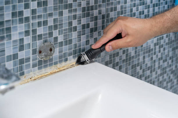 Best Kitchen Mold Remediation in Crestwood, KY