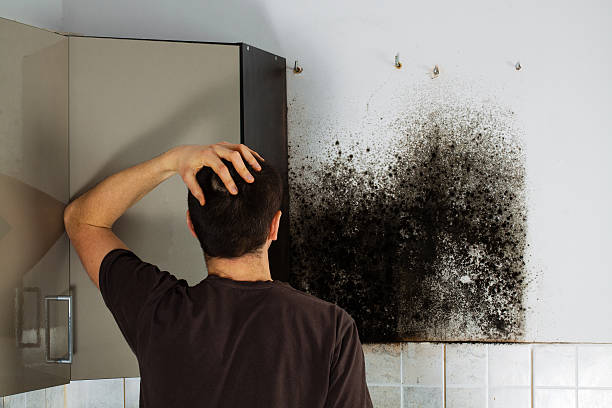 Best Bathroom Mold Remediation in Crestwood, KY
